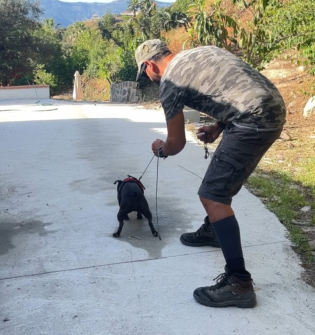 Guia Canino Experto en Seguridad y Vigilancia